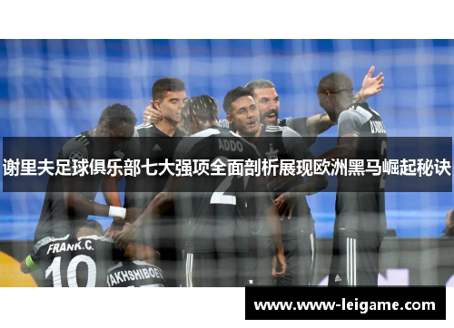 谢里夫足球俱乐部七大强项全面剖析展现欧洲黑马崛起秘诀 谢里夫足球俱乐部七大强项全面剖析展现欧洲黑马崛起秘诀