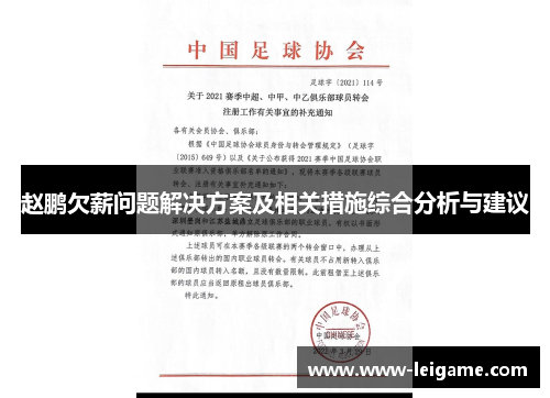 赵鹏欠薪问题解决方案及相关措施综合分析与建议