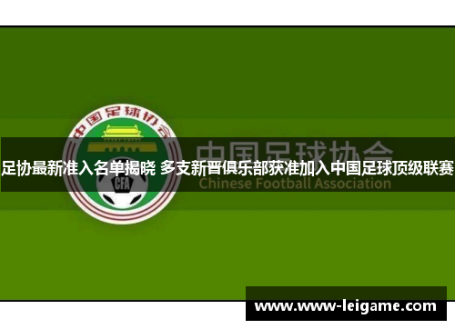 足协最新准入名单揭晓 多支新晋俱乐部获准加入中国足球顶级联赛