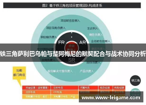 铁三角萨利巴乌帕与楚阿梅尼的默契配合与战术协同分析