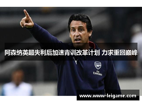 阿森纳英超失利后加速青训改革计划 力求重回巅峰 阿森纳英超失利后加速青训改革计划 力求重回巅峰