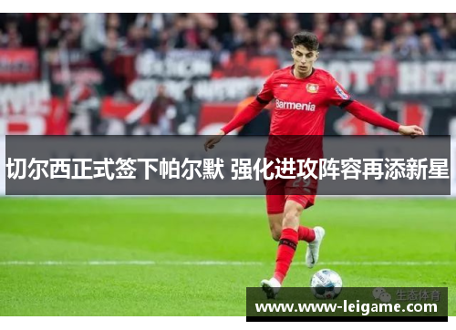 切尔西正式签下帕尔默 强化进攻阵容再添新星 切尔西正式签下帕尔默 强化进攻阵容再添新星